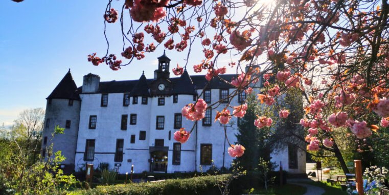 The front of Dudhope Castle, partially obscured by a blooming cherry blossom tree