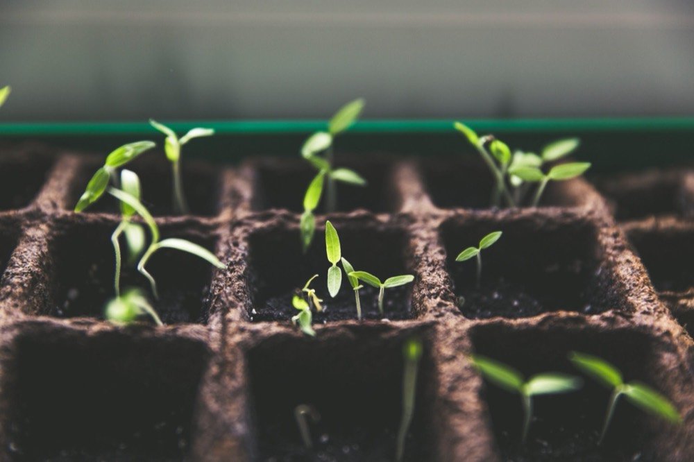 Understanding funding for social entrepreneurs
