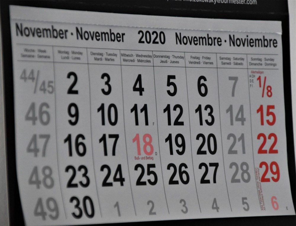 Here’s What You Might Have Missed In November…